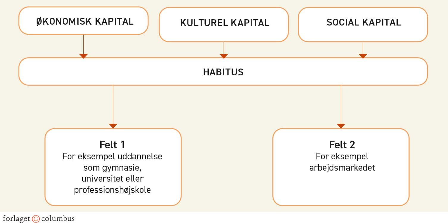 Figur 1.11. Bourdieus centrale begreber kapital, habitus og felt