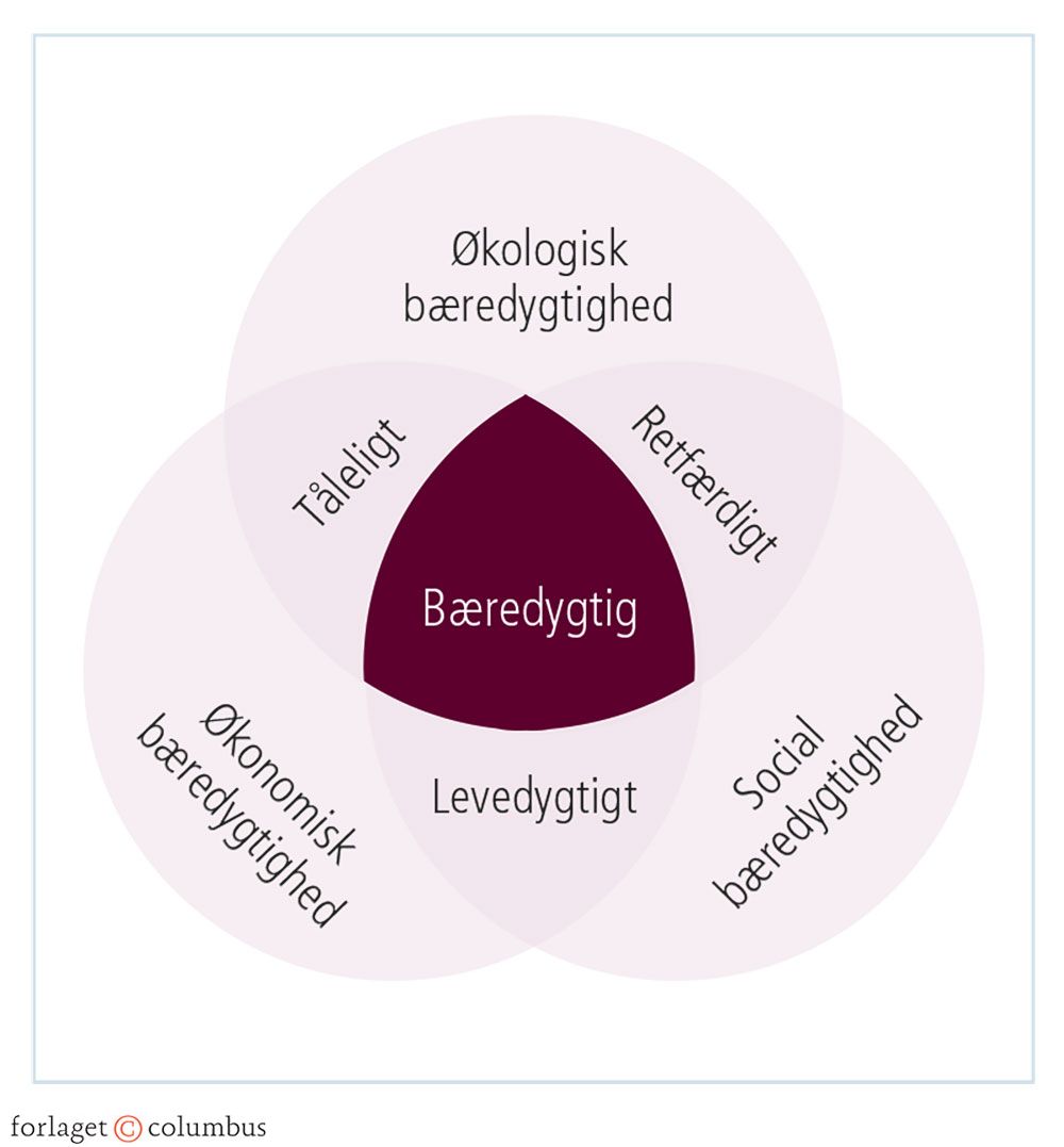 Figur 1.21a: Typer af bæredygtighed