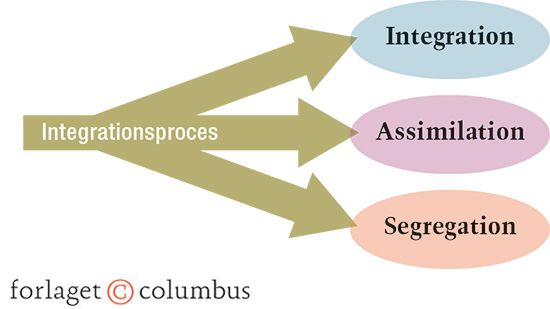 1.3 Integrationsprocessens konsekvenser