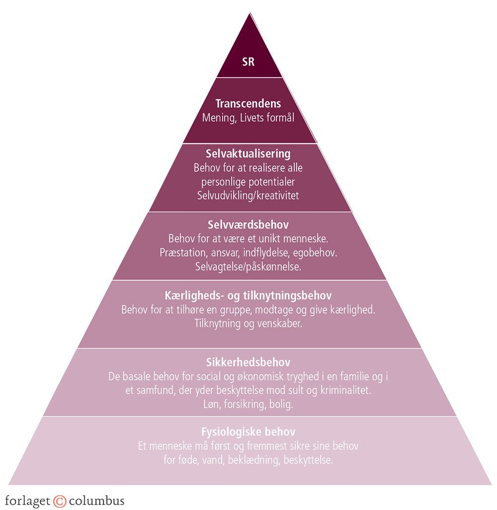 Figur 2.19: Maslows behovspyramide