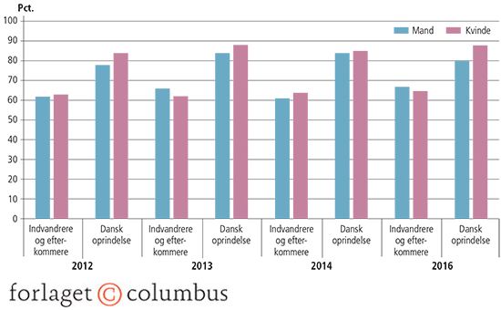 2.7 Andelen af indvandrere og efterkommere med ikke-vestlig oprindelse samt personer med dansk oprin