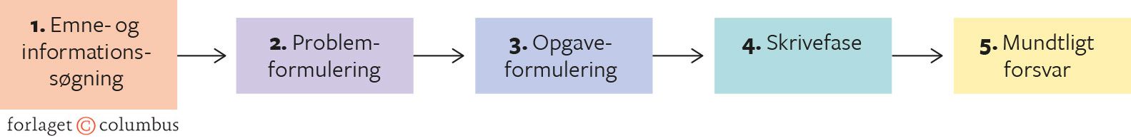 Figur 5.1. Faser i SRP-forløbet