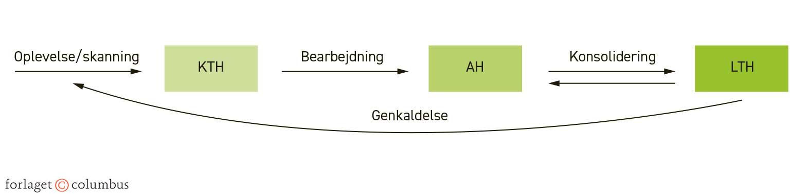 Figur 5.16. Fasemodel for hukommelse