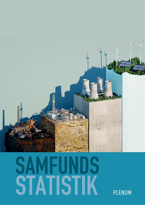 Samfundsstatistik (iBog)