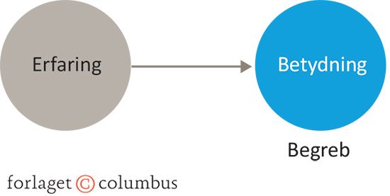 Figur 20: Erfaring og betydning