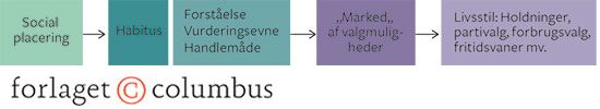 Figur 5.6 Habitus og social placering